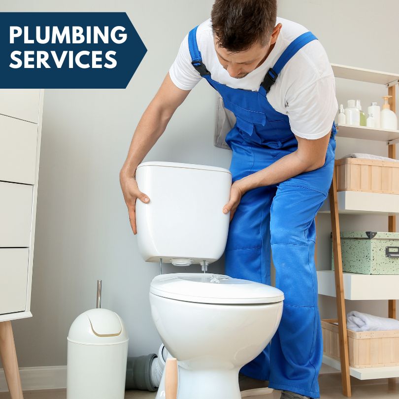 Plumbing Company in Littlefield, AZ